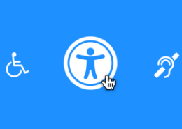 WEB-ACCESSIBILITY