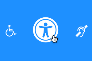 WEB-ACCESSIBILITY