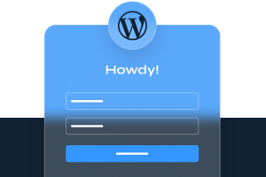 CUSTOM WORDPRESS LOGIN PAGE