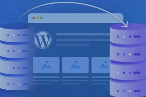 WordPress Migration