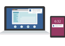 WEB PUSH NOTIFICATIONS