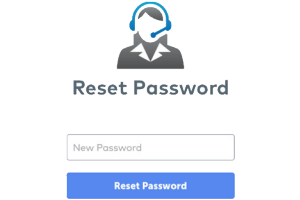 PASSWORD RESET SECURITY