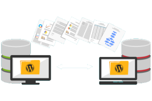 WORDPRESS MIGRATION